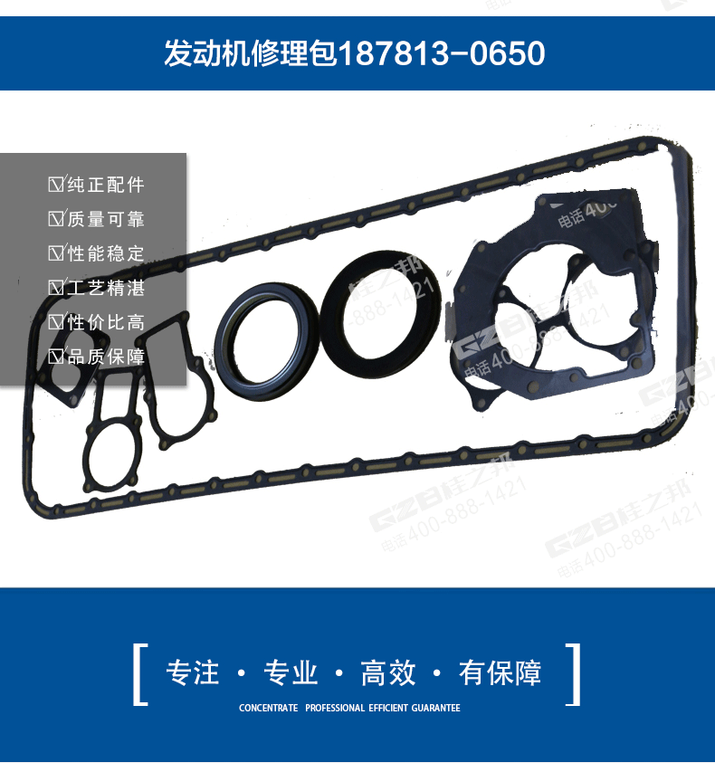 挖掘機發(fā)動機修理包187813-0650