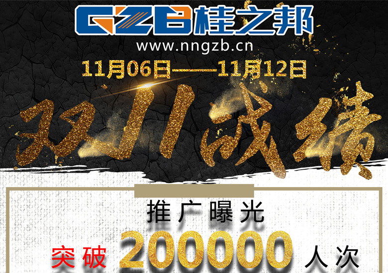 挖掘機(jī)配件十一月十一日戰(zhàn)績表，如何實(shí)現(xiàn)200%的飛躍??？
