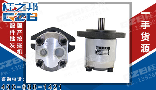 特價柳工CLG220挖掘機發(fā)動機先導齒輪泵 挖掘機配件批發(fā)市場